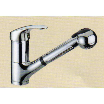 Two Handle Kitchen Mixer